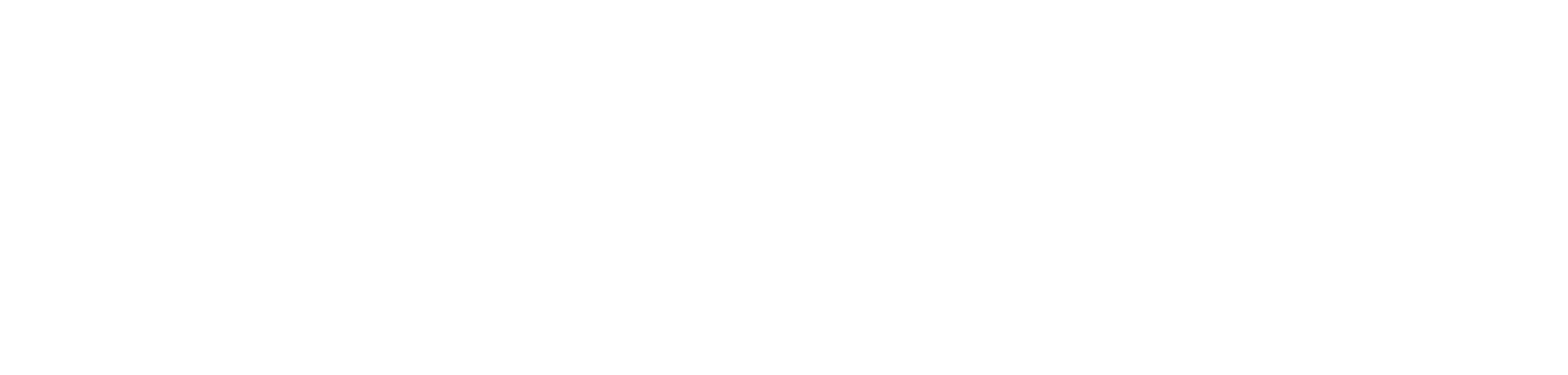 Adorn & Aura Logo